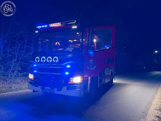 Nocna interwencja strażaków. Powalone drzewo zablokowało drogę