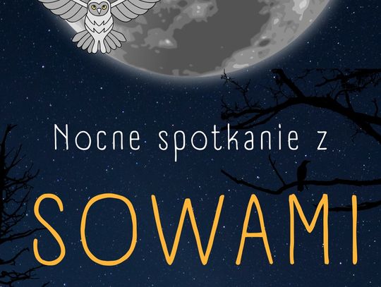 Nocne spotkanie z sowami