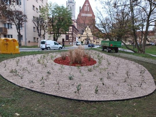 Nowe rabaty w Oleśnicy