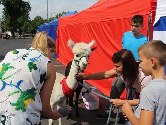 Oddaj krew pod Intermarche w Oleśnicy