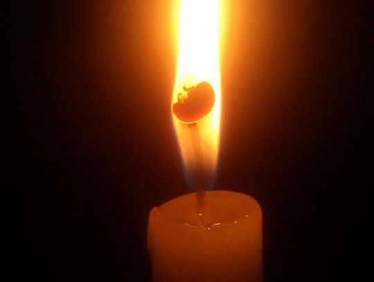 Odeszła znakomita psycholożka i terapeutka