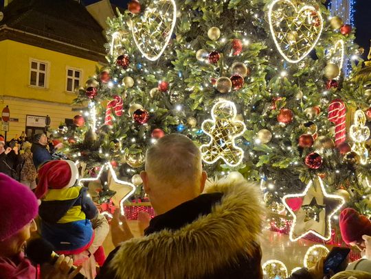 Oleśnicka choinka rozświetlona!