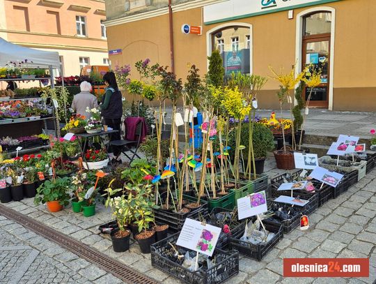 Oleśnicki Festiwal Kwiatów wraca. We wrześniu druga edycja wydarzenia