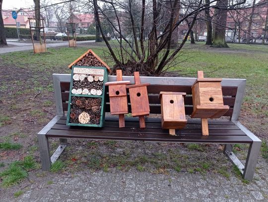 Osadzeni z oleśnickiego ZK wykonali budki lęgowe i domki dla owadów