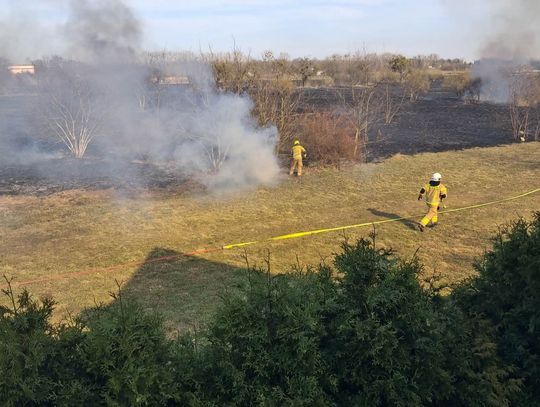 Palą się "Kwadraty" w Oleśnicy. Ogień blisko zabudowań! (WIDEO) Palą się "Kwadraty" w Oleśnicy. Ogień blisko zabudowań! (WIDEO)