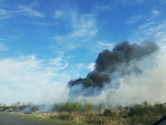 Pali się zagajnik na Spalicach!
