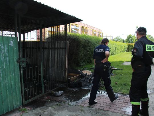 Palił się śmietnik - kto zaprószył ogień?