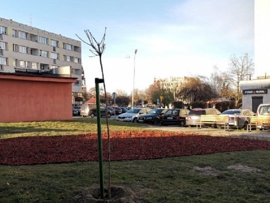 Parki kieszonkowe w Oleśnicy