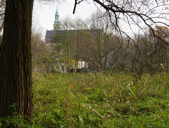 Petycja w sprawie nowego parku w Oleśnicy jest już w ratuszu (ROLKA)