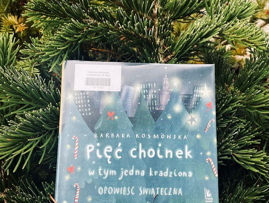 Pięć choinek, w tym jedna... kradziona! 