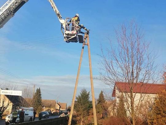 Pierwszy wyjazd strażaków - do kota...