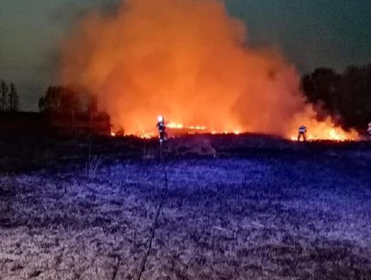 Płoną nieużytki, poparzony mieszkaniec Cieśli