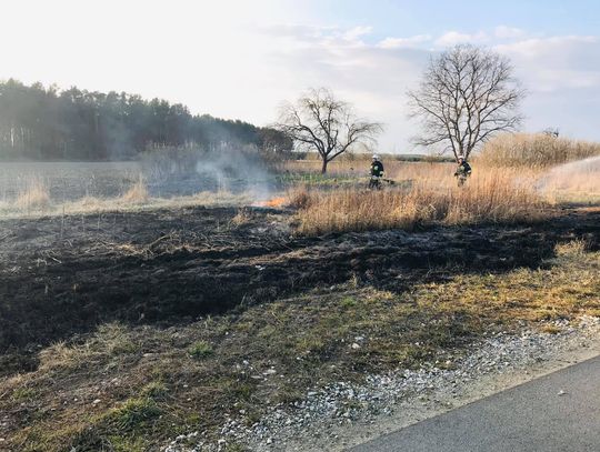 Płonęły trawy w Ligocie Nowej