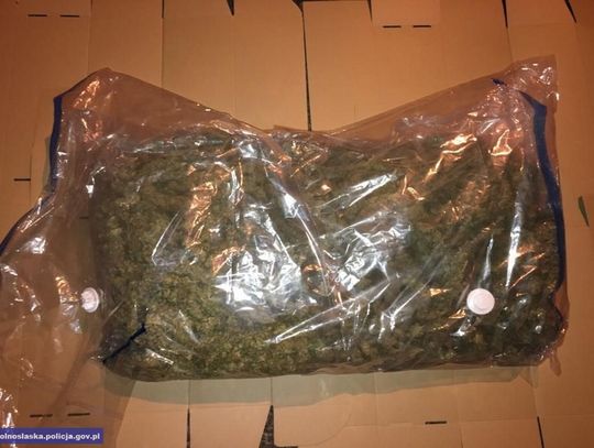 Ponad 3 kg narkotyków przejęli policjanci w Oleśnicy