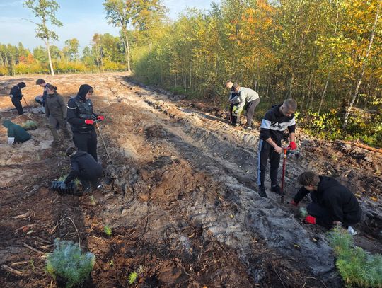Ponad TYSIĄC Nowych Drzew pod Oleśnicą! [ZDJĘCIA
