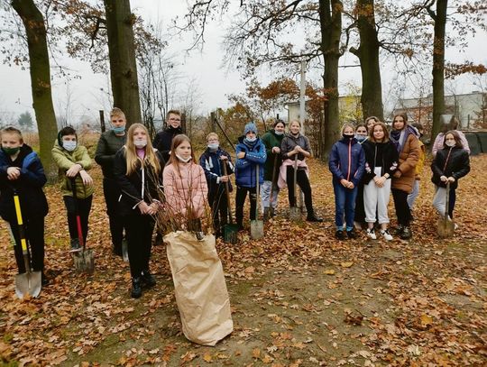 Posadzili 100 drzewek w Drołtowicach