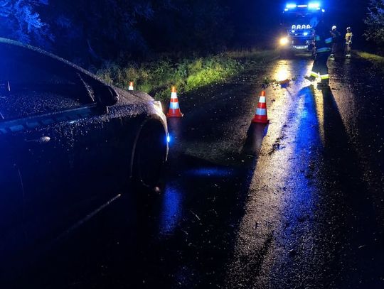 Powalone drzewo w Grabownie Małym. Nocna interwencja strażaków