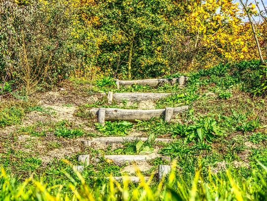 Powstała koncepcja rewitalizacji terenu pomiędzy ulicą Wiśniową a Łąkową w Oleśnicy