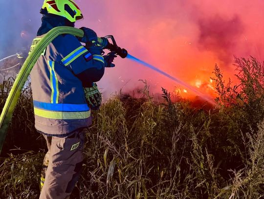 Pożar bel słomy w Brzezince. Interweniowały jednostki z Oleśnicy i okolic