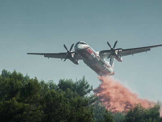 Pożar goni pożar - leśniczy apelują!