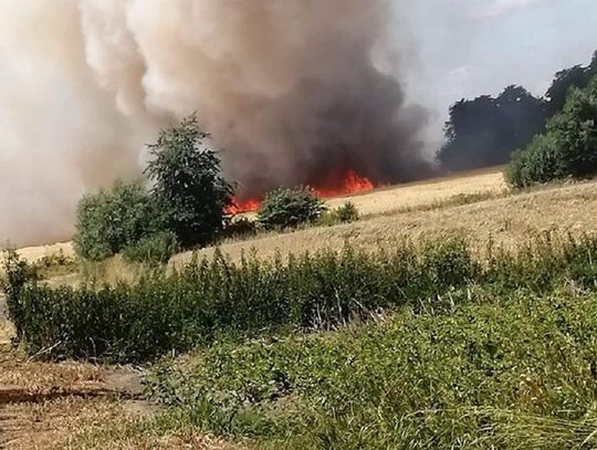 Pożar goni pożar w powiecie oleśnickim