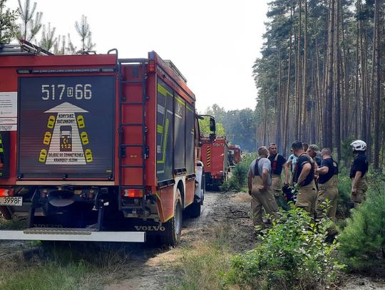 Pożar lasu w Nadleśnictwie Oleśnica