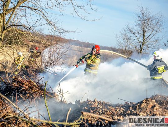 Pożar na Kwadratach w Oleśnicy
