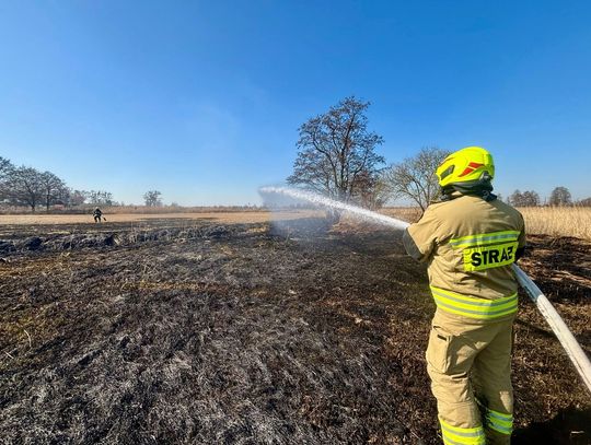 Pożar nieużytków w Oleśnicy – przy Turkusowej paliły się trawa i śmieci