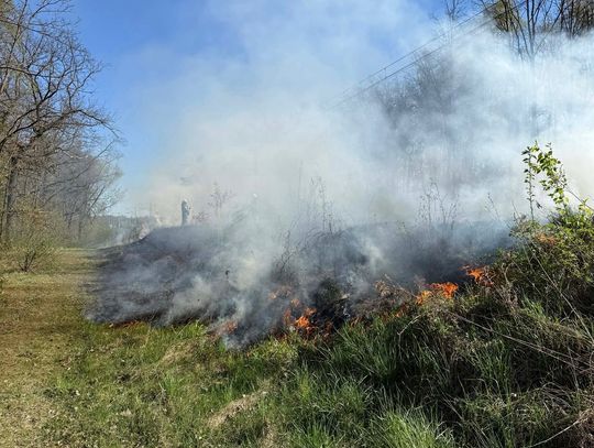 Pożar przy torach. W akcji kilka jednostek straży pożarnej