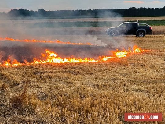 Pożar ścierniska w Sokołowicach
