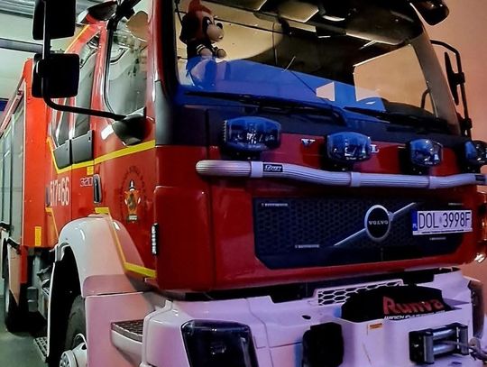 Pożar skrzynki elektrycznej. Do akcji ruszyli strażacy
