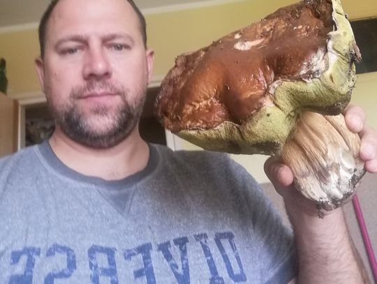 Prawdziwek gigant znaleziony pod Bierutowem!