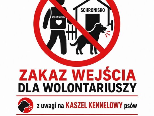 Przytul Pyska zamyka przytulisko. Powodem ogniska kaszlu kenelowego