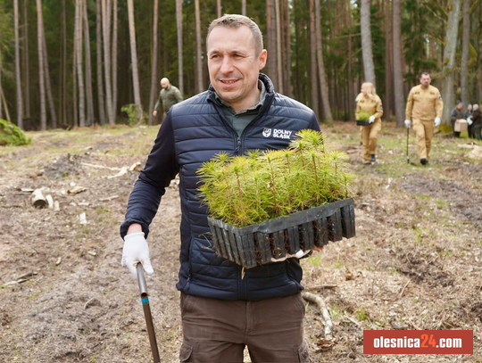 Pszczoły pod ochroną regionu. Milion złotych dla pszczelarzy