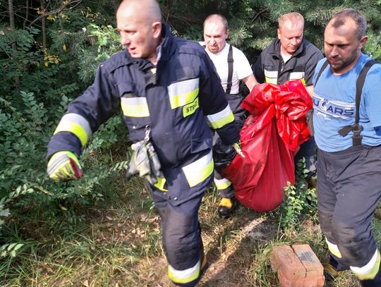 Ratowali sarnę uwięzioną w stawie