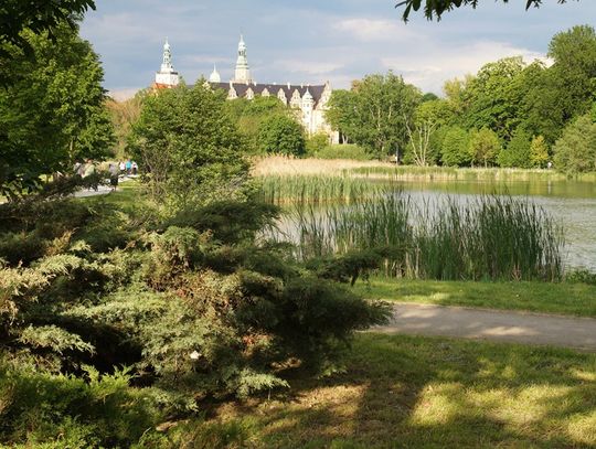 Rewitalizacja stawu na Kruczej w Oleśnicy nie zostanie wykonana w najbliższej przyszłości?