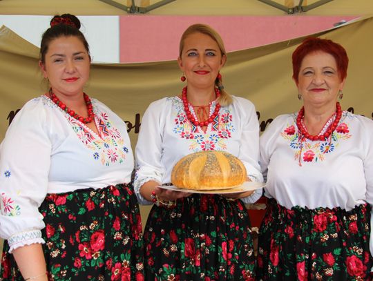 Rozpoczęły się dożynki i Bitwa Regionów w Bierutowie [AKTUALIZACJA]