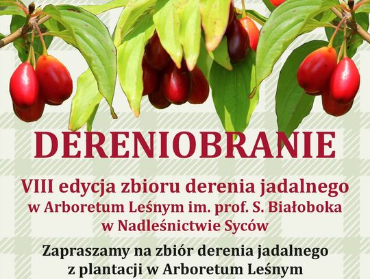 Ruszaj na dereniobranie