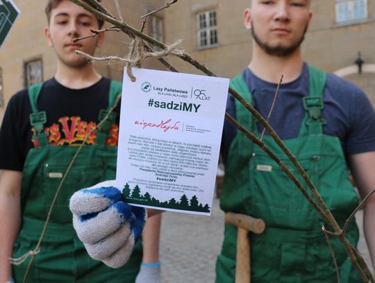 Sadzimy rośliny, pomagamy Ziemi
