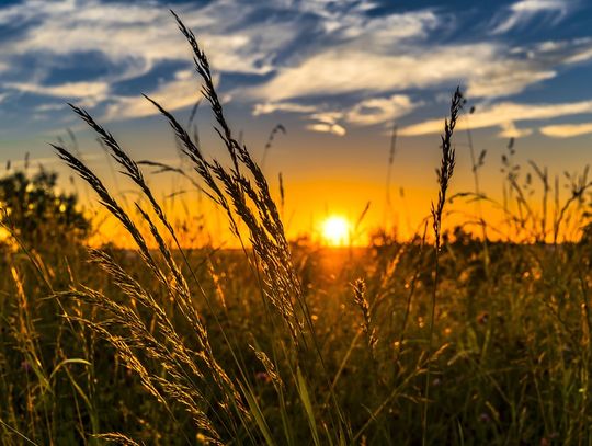Sanepid informuje rolników z powiatu oleśnickiego