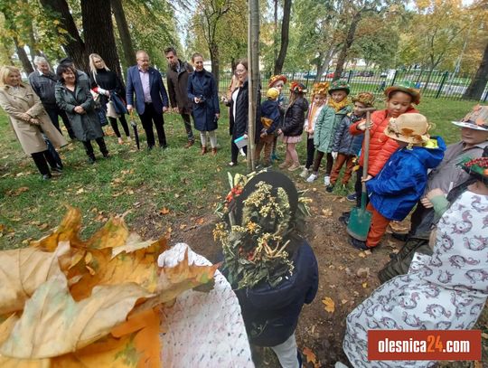 Seniorzy sadzili drzewa z pierwszoklasistami ze Szkoły Podstawowej nr 1