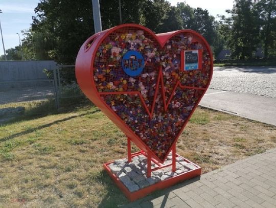 Serce na nakrętki dla Frania Cedry