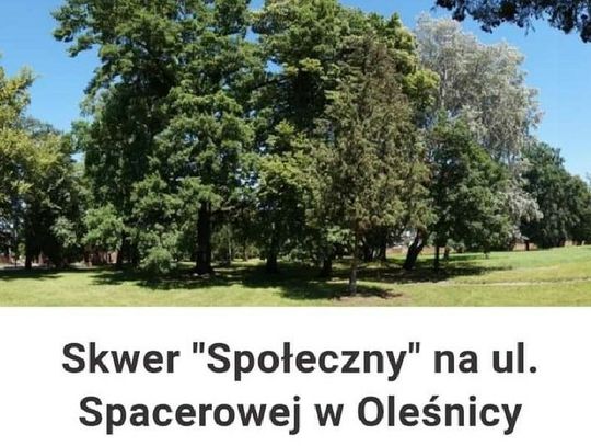 Skwer Społeczny w Oleśnicy nie powstanie