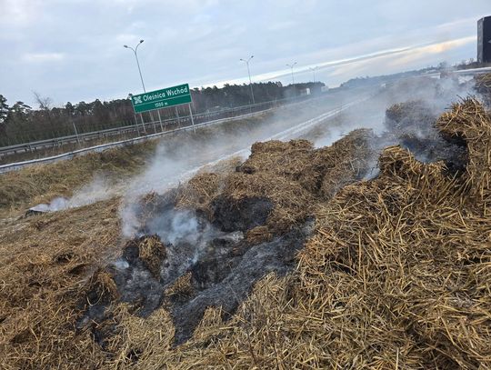 Śmieci i tlące się ogniska po proteście rolników na S8 w Oleśnicy Śmieci i tlące się ogniska po proteście rolników na S8 w Oleśnicy