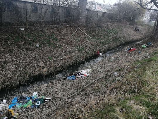 Śmieci w Oleśnicy przybywa, a płacimy coraz więcej