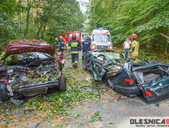 Spadające drzewo przygniotło dwa samochody