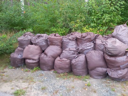 Sprzątanie Świata w Twardogórze