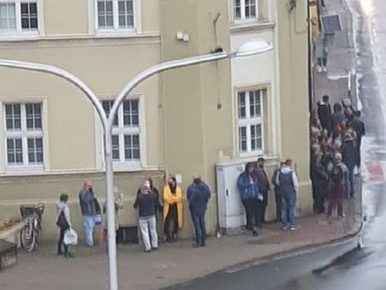Stanęli w nocy w kolejce do Urzędu Miasta i Gminy