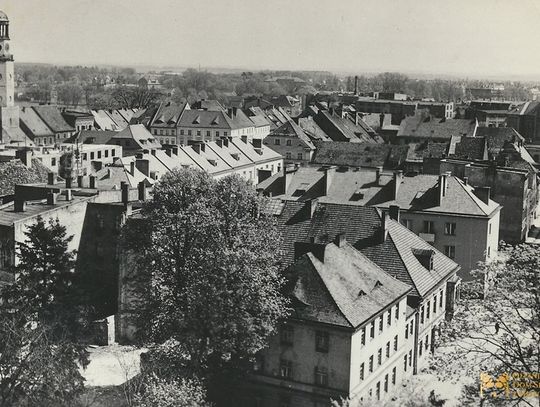 Stara Oleśnica, czyli odbudowa ratusza