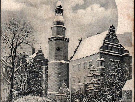 Stara Oleśnica, czyli Zamek Książęcy w roku 1901